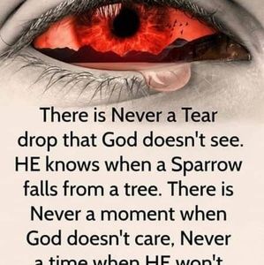 Meet your Posher, Jeroline